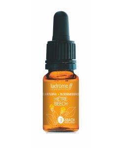 Hêtre - Beech (n°3) BIO, 10 ml